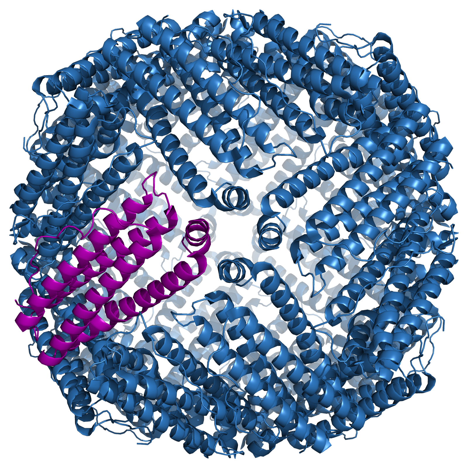 Computer generated image of the structure of a storage protein called ferritin, which stores iron in cells. The protein is roughly spherical in shape.