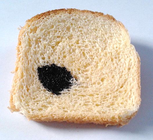 Photograph of a slice of white bread with a drop of iodine solution on it. The iodine solution is a blue-black splodge on the slice of bread.