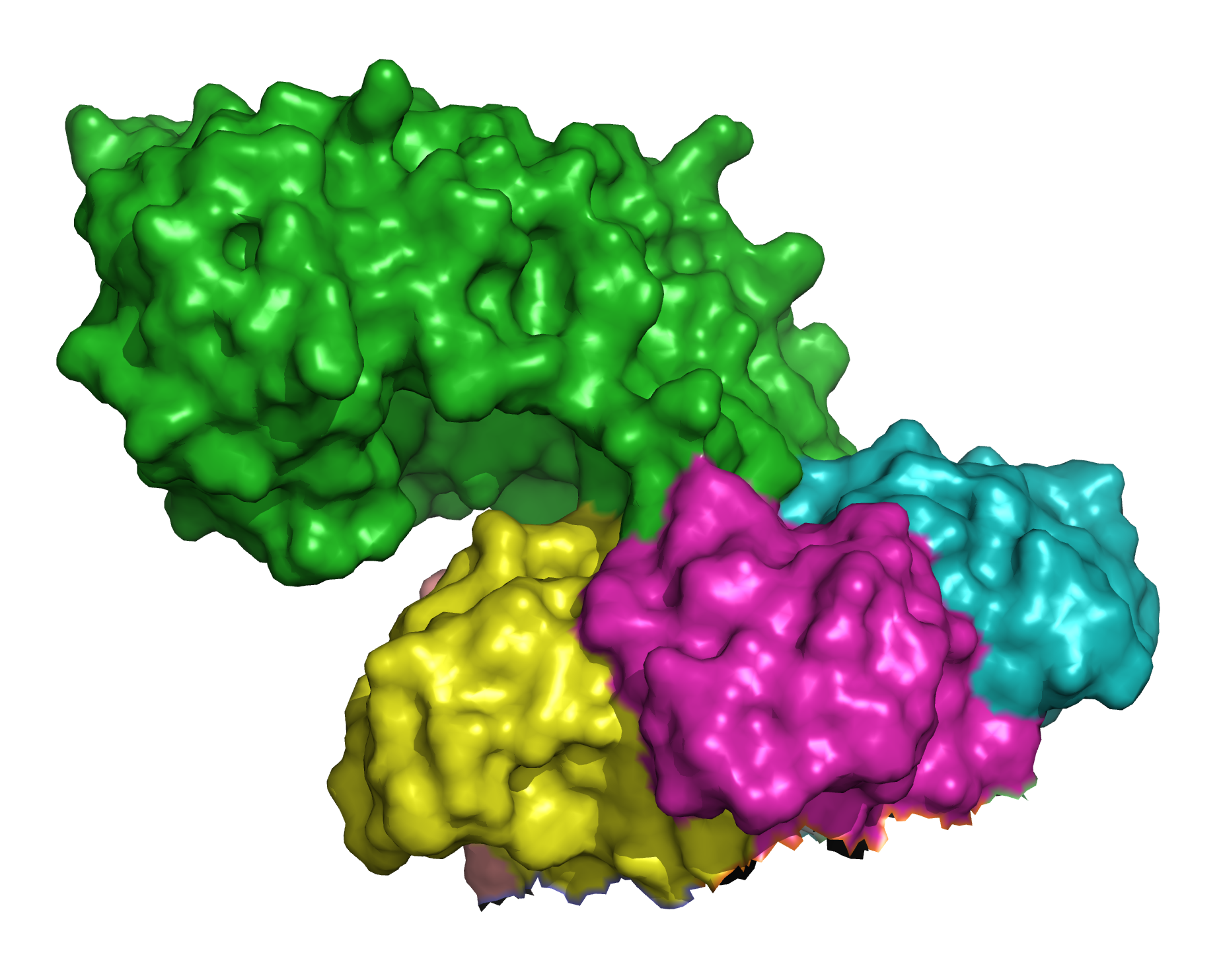 Computer generated image of a toxin. It has a blobby shape, like other globular proteins. It is made up of four different subunits, which are shown in different colours.