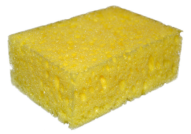 A photograph of a sponge (the type used to clean a car) against a white background.
