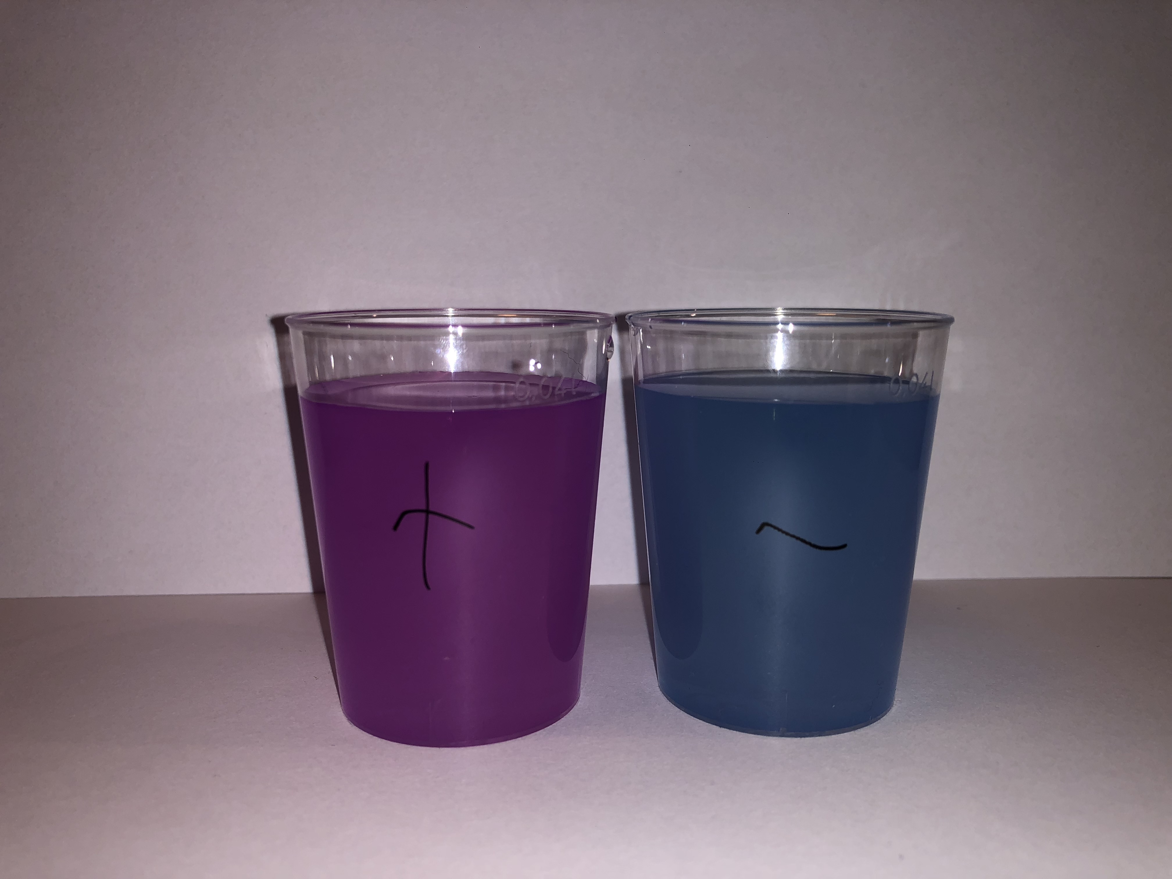 Photo of two cups containing solutions. In the cup on the left, the solution is purple. The left cup has a plus sign written on it (to denote the fact that the test result is positive). In the cup on the right, the solution is blue. The right cup has a minus sign written on it (to denote the fact that the test result is negative).