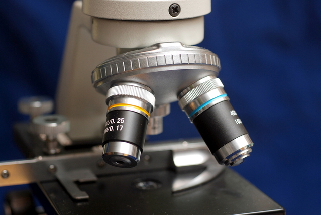 Photograph of lenses on a light microscope.